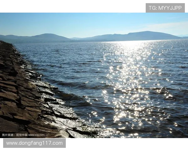 波光粼粼:探索直播视频的视觉魅力与互动体验 波光粼粼:探索直播视频的视觉魅力与互动体验